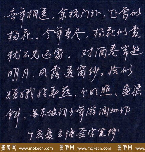 邓立强硬笔行书欣赏