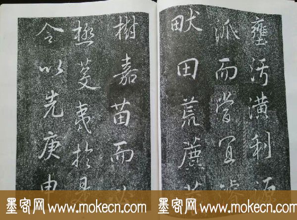 后周张光振行书欣赏《任公屏盗碑》 后周张光振行书欣赏《任公屏盗碑》