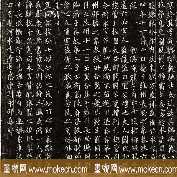 唐代欧阳询楷书欣赏《丘师墓志》高清拓本